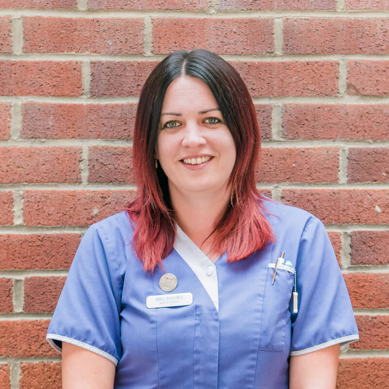 castle-vets-dorchester-weymouth-staff-mel-davies