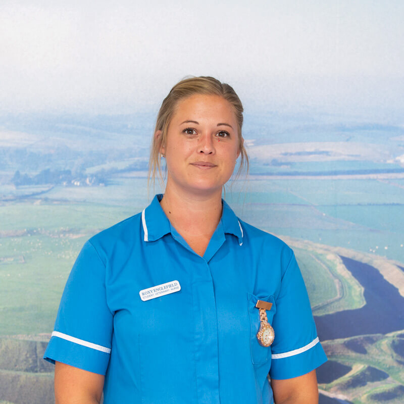 castle-vets-dorchester-weymouth-staff-roxy-englefield
