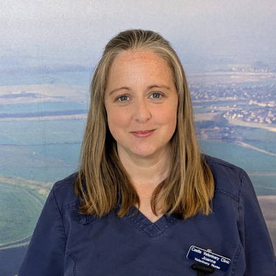castle-vets-dorchester-weymouth-staff-Jo-Mellon-RVN-