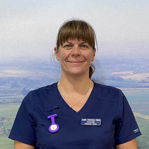 castle-vets-dorchester-weymouth-staff-charlotte-butler