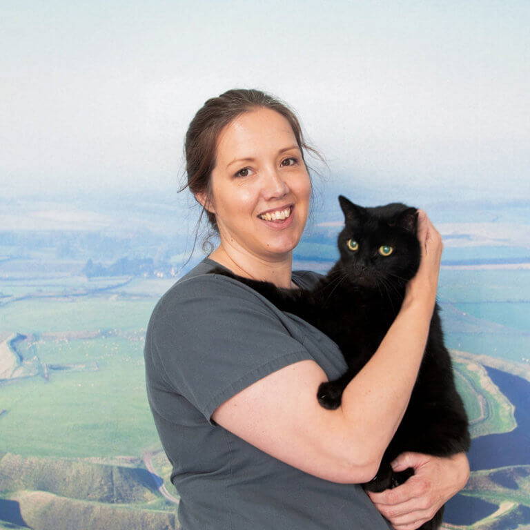 Meet the Amazing Veterinary Team at Castle Vets Dorchester & Weymouth