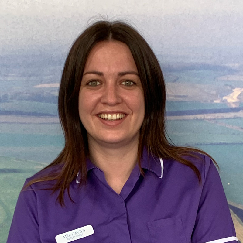 castle-vets-dorchester-weymouth-staff-mel-davies