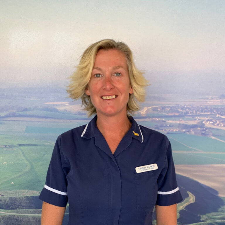 Meet the Amazing Veterinary Team at Castle Vets Dorchester & Weymouth