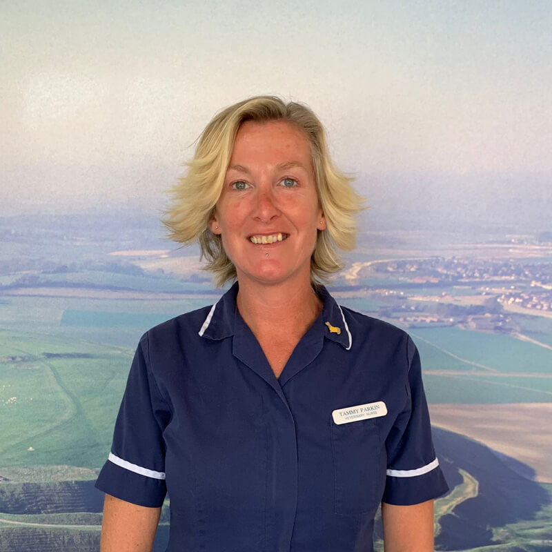 castle-vets-dorchester-weymouth-staff-tammy-parkin