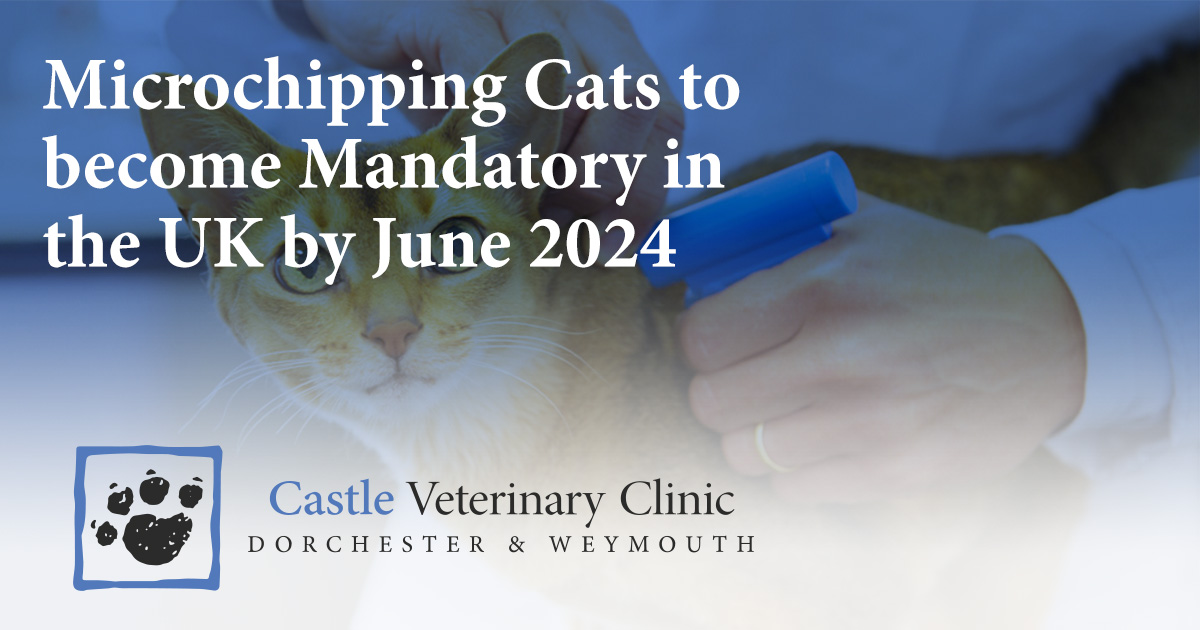 Mandatory sales cat vaccinations