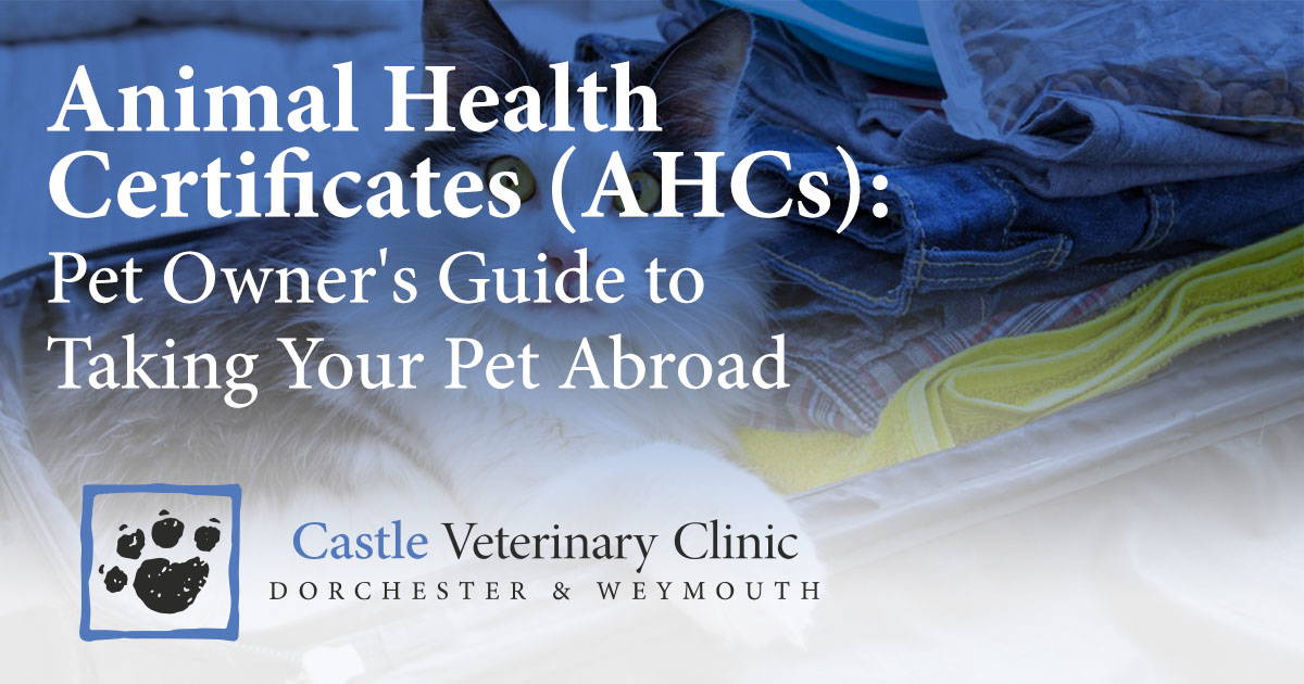 Animal Health Certificates (AHCs) Pet Owner's Guide to Taking Your Pet