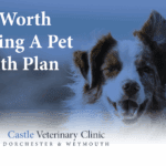 Is it worth getting a pet health plan | Castle Vets